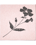 Tampon May & Berry - Fleur sauvage