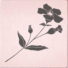 May & Berry Stamp - Wildflower