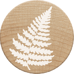Woodies Stamp - Fern leaf