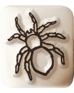 Ladot Stein - klein - Spinne