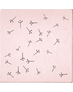 Tampon May & Berry - Pissenlit