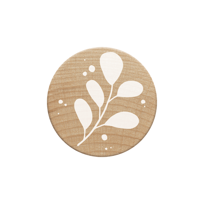 Woodies Kaşe - Dal 2