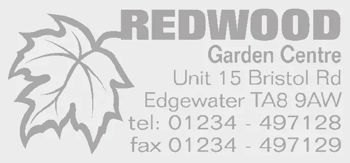 COLOP Classic Line 2400 — imprint